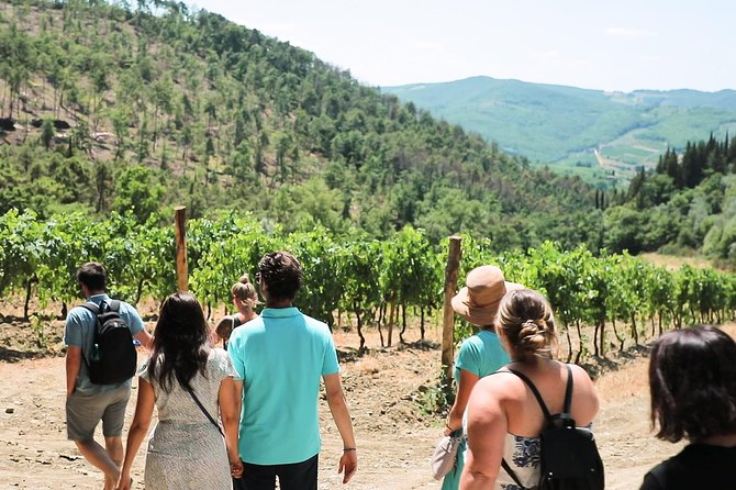 Best things to do in Tuscany - a group of people walking through a vineyard taking a tour