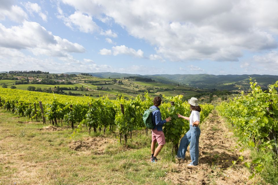 two people hiking through a vineyard in tuscany